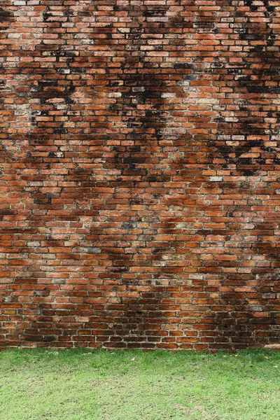 Bakstenen muur met gras vloer — Stockfoto