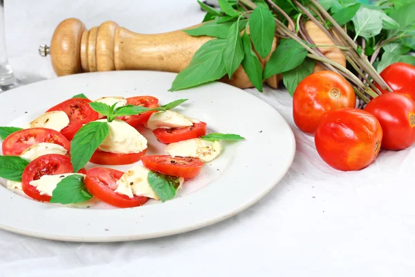 Tomaten-Basilikum-Mozzarella-Salat mit Tomaten und Basilikumblättern — Stockfoto