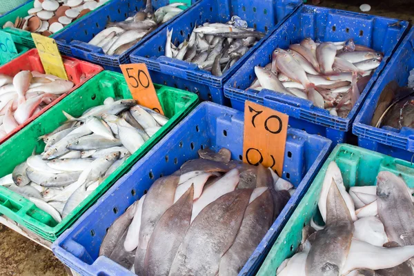 Variedade de peixe fresco frutos do mar no mercado — Fotografia de Stock