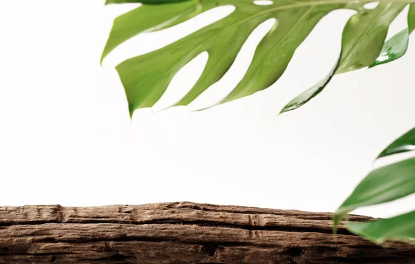 プレゼンテーションデザインのための自然の緑の葉と木製の製品表示表彰台 — ストック写真