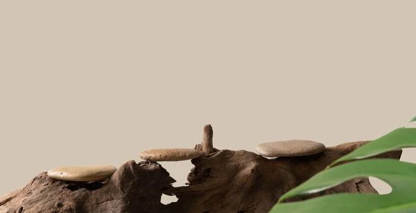 Камень Продукт Дисплей Подиум Старом Бревно Изолированные Коричневом Фоне Обрезки — стоковое фото
