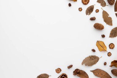 Sonbahar kompozisyonu, kurumuş yapraklar. ve beyaz arka planda çam kozalakları. Düz konum, kopyalama alanı olan üst görünüm