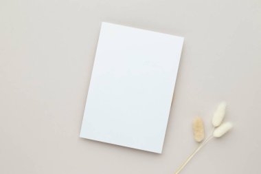 Boş kâğıt kartlar, tebrik kartı ahşap tabakta pampa çimenleri, bej arka plan, en az bej iş yeri kompozisyonu, düz yatak, maket