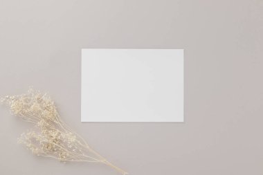 Boş tebrik kartı daveti. Kahverengi zarf üzerinde Mockup 5x7. Bej arka planda kurumuş çiçekler.