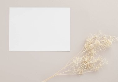 Boş tebrik kartı daveti. Kahverengi zarf üzerinde Mockup 5x7. Bej arka planda kurumuş çiçekler.