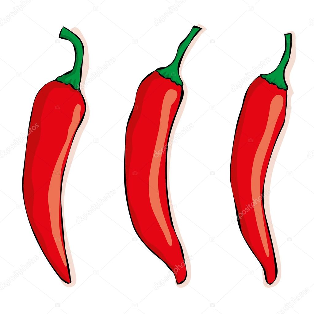 Hand drawn chili pepper. Isolated on white