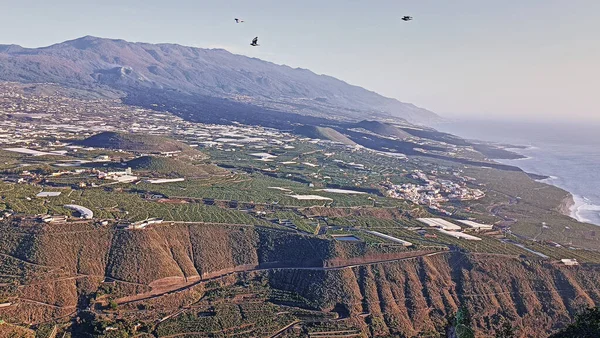 views of the lava tongue in La Palma, Volcano Cumbre Vieja 2022