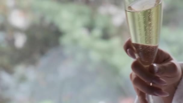 Vrouwenhand Met Een Glas Champagne — Stockvideo