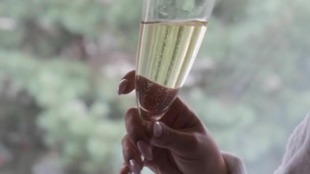 Жінка Келихом Шампанського Фоні Зелених Дерев — стокове відео