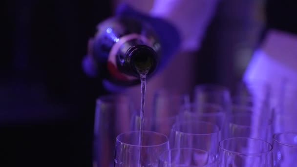 Serveur Verse Champagne Dans Des Verres — Video