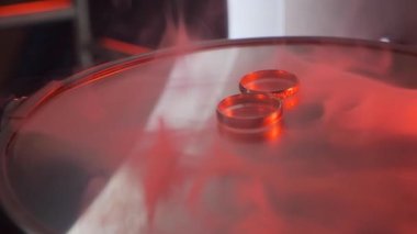 Nikah yüzükleri yakın. Yüzükler kırmızı ışıkta masanın üstünde..