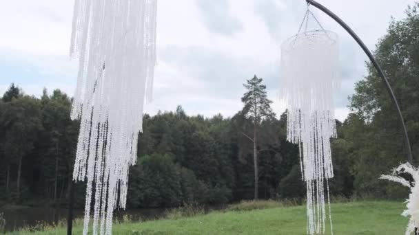 Decoración Araña Aire Libre Con Césped Verde Bosque Telón Fondo — Vídeos de Stock