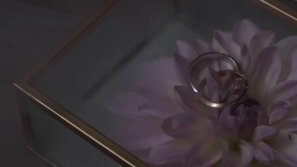 花と結婚指輪付きのガラス箱 — ストック動画