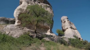 Yazın kayalar. Yeşil dağların panoramik manzarası.