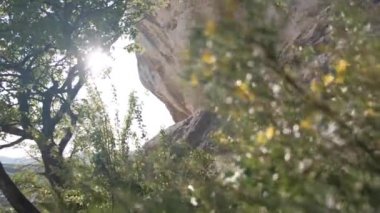 Yazın kayalar. Yeşil dağların panoramik manzarası.