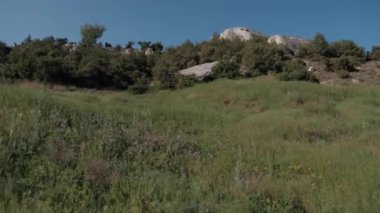 Yazın kayalar. Yeşil dağların panoramik manzarası.