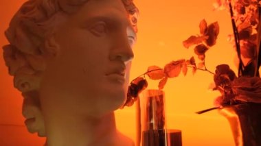 Paris baş süslemesi. 