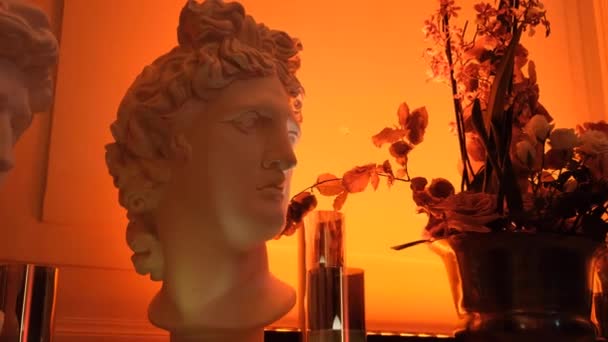 パリの頭部装飾の石膏 — ストック動画