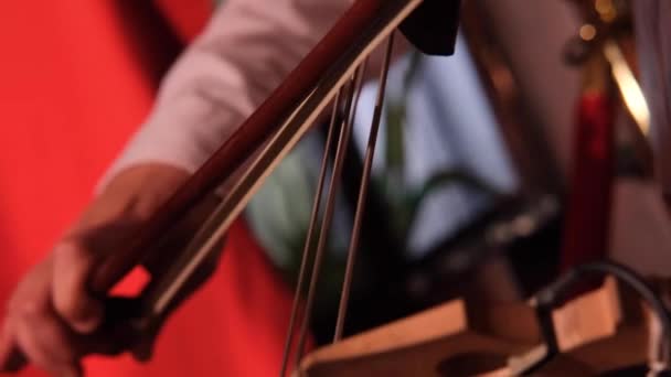 Man Cello Player Playing Violoncello Close Man Hand Playing Cello — Stock videók