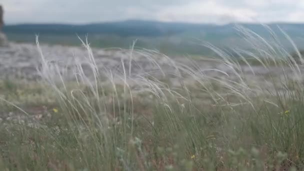 Bord Berg Grön Sommardag — Stockvideo