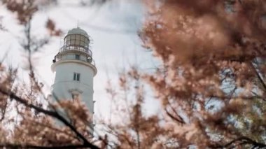  Sahildeki büyük beyaz deniz feneri