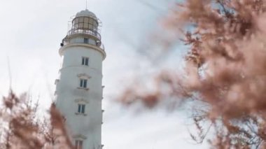  Sahildeki büyük beyaz deniz feneri
