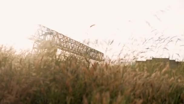Величезний Завантажувальний Кран Заході Сонця — стокове відео