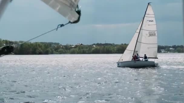 Yachting Luftaufnahme Des Yachtclubs Luftaufnahme Von Angedockten Segelbooten Blick Von — Stockvideo