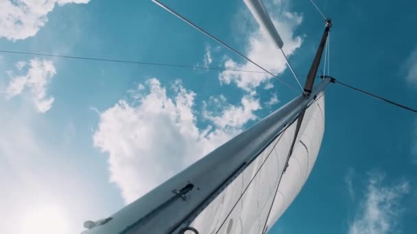 Yachting Luftaufnahme Des Yachtclubs Luftaufnahme Von Angedockten Segelbooten Blick Von — Stockvideo