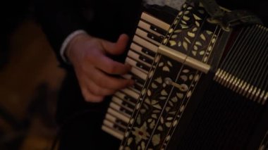 Erkek elleri düğme akordeonunu çalıyor