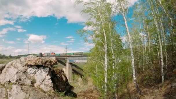 Train Passe Sur Pont — Video