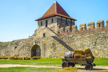 Kurumuş samanlı ahşap araba. 