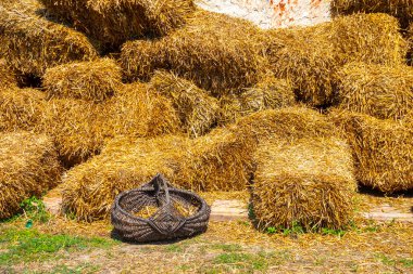 Eski bir tuğla binanın önündeki altın saman yığını. tuğla duvarın yanında kuru saman yığını