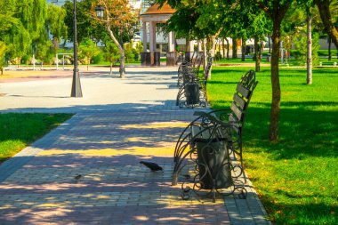 Güneşli bir günde parkta bank