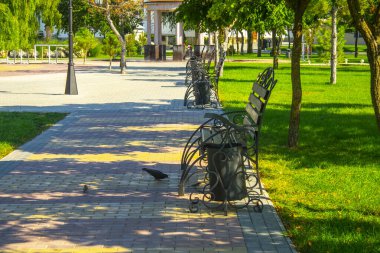 Güneşli bir günde parkta bank