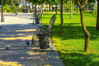 Güneşli bir günde parkta bank