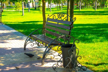 Güneşli bir günde parkta bank