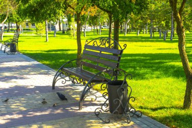 Güneşli bir günde parkta bank