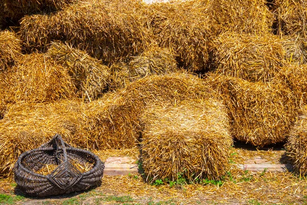 Gouden Hooiberg Voor Een Oud Bakstenen Gebouw Stapel Droog Hooi — Stockfoto