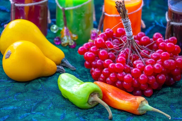 Pumpar Och Viburnum Bär Med Färgglada Blad Begreppet Höstskörd Pumpgrönsaker — Stockfoto