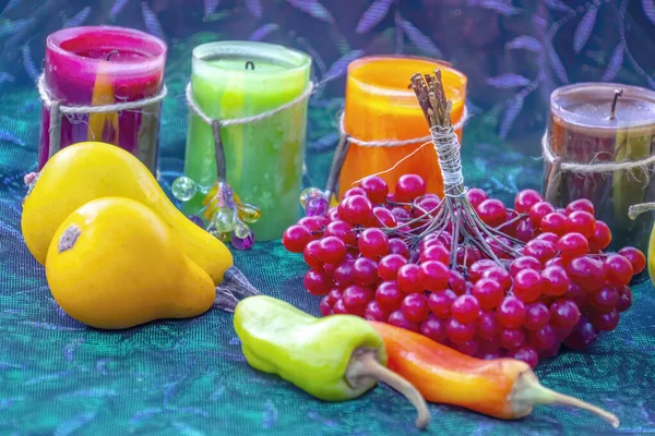 Abóboras Bagas Viburnum Com Folhas Coloridas Conceito Colheita Outono Legumes — Fotografia de Stock