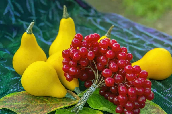 Pumpkins Viburnum Berries Colorful Leaves Concept Autumn Harvest Pumpkin Vegetables — Stock Photo, Image