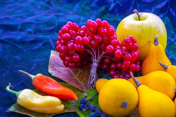Dynie Jagody Viburnum Kolorowymi Liśćmi Koncepcja Jesiennych Zbiorów Warzyw Dyniowych — Zdjęcie stockowe