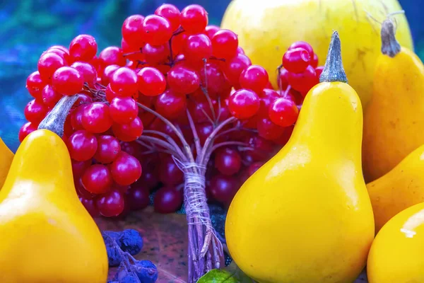 Abóboras Bagas Viburnum Com Folhas Coloridas Conceito Colheita Outono Legumes — Fotografia de Stock