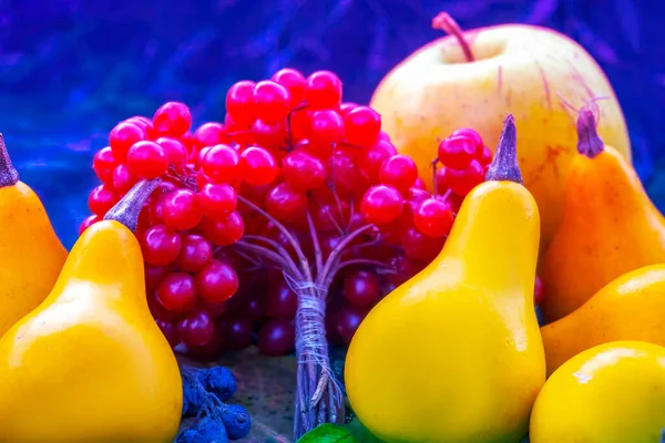 Abóboras Bagas Viburnum Com Folhas Coloridas Conceito Colheita Outono Legumes — Fotografia de Stock