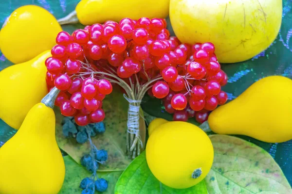 Pumpkins Viburnum Berries Colorful Leaves Concept Autumn Harvest Pumpkin Vegetables — Stock Photo, Image