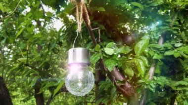 Asılı bir güneş ışığı daldaki cam küreyi çatlattı.