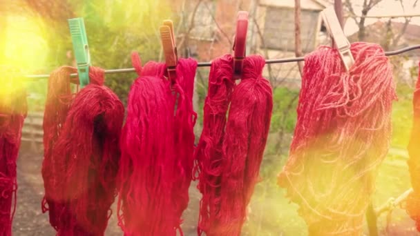 Filati Colorati Lana Sono Appesi Una Clothesline Con Mollette All — Video Stock