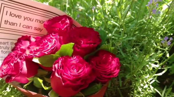 Krásná Kytice Červené Růže Vznešené Červené Růže Jasným Zadkem — Stock video