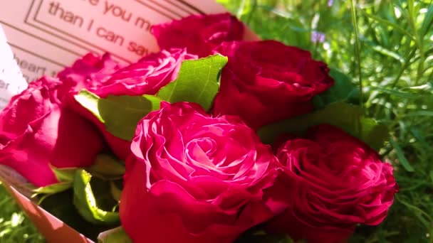 Piękny Bukiet Czerwonych Róż Szlachetne Czerwone Róże Jasnym Bokeh — Wideo stockowe